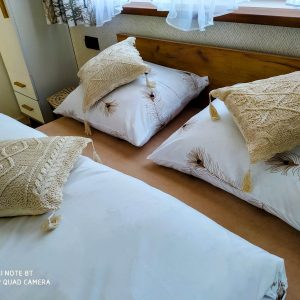 310049517_2037516626440020_1293155436160929255_n